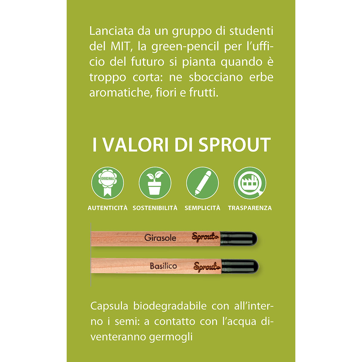 Sprout la matita che si pianta personalizzata